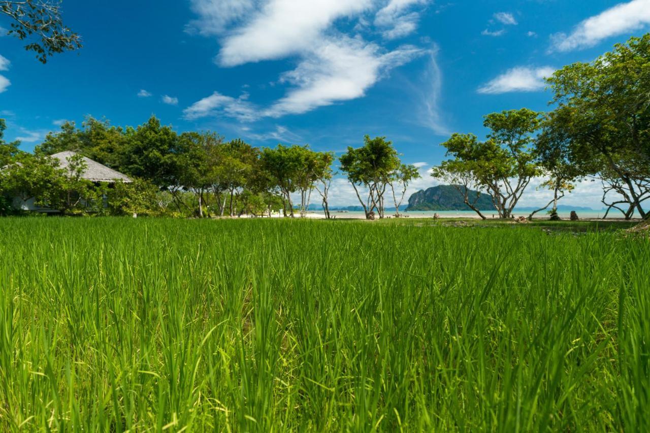 Koh Yao Yai Village - SHA Extra Plus Phang Nga Exterior foto